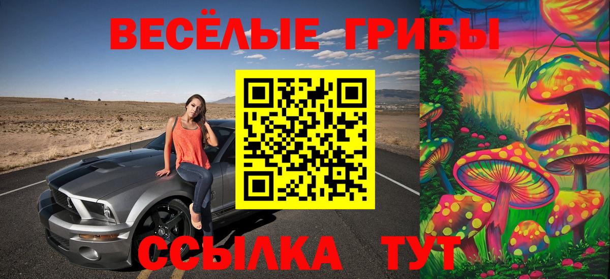 Галлюциногенные грибы MAGIC MUSHROOMS  Вход с VPN  Великий Новгород  Галлюциногенные грибы MAGIC MUSHROOMS 